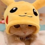 Avatar of Noor Fatima